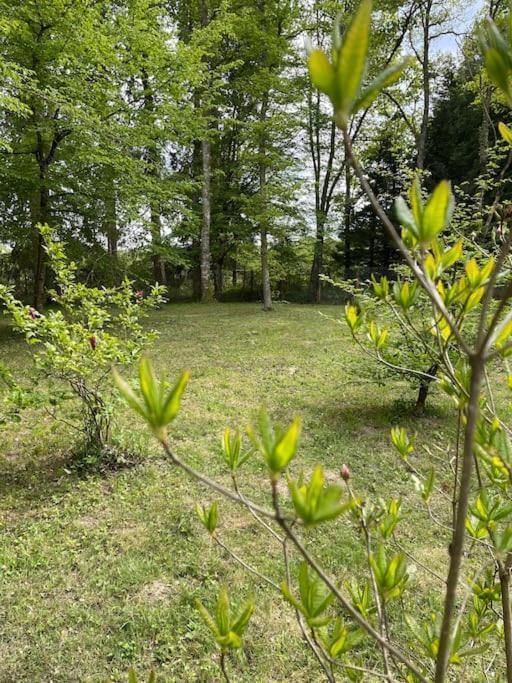 Gite Les Reculons Au Pied Du Lac Les Midoux ภายนอก รูปภาพ